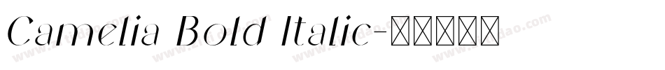 Camelia Bold Italic字体转换